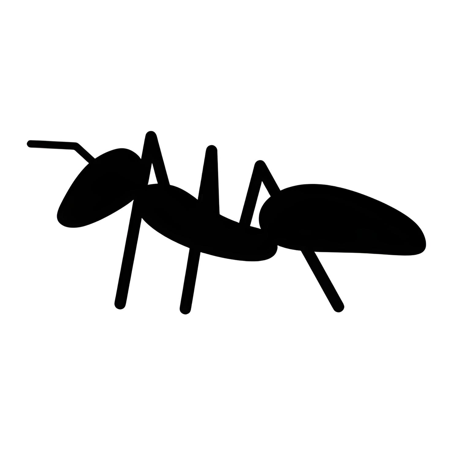 Christian Directory website